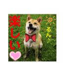 赤いりぼんの可愛い仲間達❤️①（個別スタンプ：27）