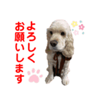 赤いりぼんの可愛い仲間達❤️①（個別スタンプ：31）