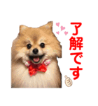 赤いりぼんの可愛い仲間達❤️①（個別スタンプ：32）