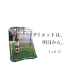 りこちゅっちゅ（個別スタンプ：25）