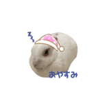 うさぎの大福さん（個別スタンプ：4）