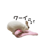 うさぎの大福さん（個別スタンプ：10）