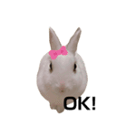 うさぎの大福さん（個別スタンプ：18）