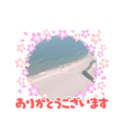 琴引き浜（個別スタンプ：7）
