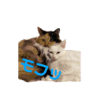 麗しの一晟スタンプ①（個別スタンプ：9）