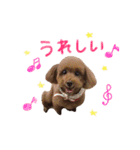 愛犬ショコラ♡（個別スタンプ：9）