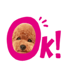 癒し系むーちゃん（個別スタンプ：1）