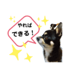 ふんふんのスタンプ Part7♡（個別スタンプ：7）