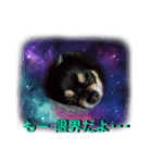 ふんふんのスタンプ Part7♡（個別スタンプ：8）