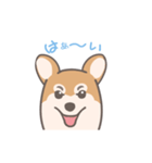 毎日フフくん（個別スタンプ：2）