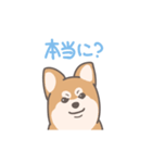 毎日フフくん（個別スタンプ：3）