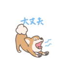 毎日フフくん（個別スタンプ：10）