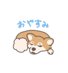 毎日フフくん（個別スタンプ：13）