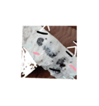 あーいーすー☆stamp（個別スタンプ：6）