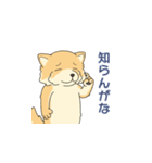 もふもふ子犬モモン（個別スタンプ：14）