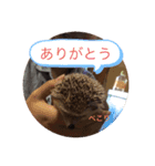 たわテミ（個別スタンプ：2）