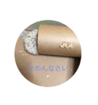 たわテミ（個別スタンプ：5）
