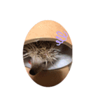 たわテミ（個別スタンプ：8）