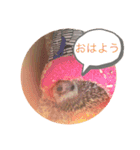 たわテミ（個別スタンプ：13）