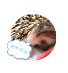 たわテミ（個別スタンプ：14）