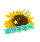 向日葵くん（個別スタンプ：2）