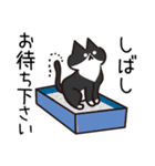 Popup！少し動く！猫ちゃん3 でか文字 仲良し（個別スタンプ：9）