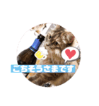 サイベリアンのキキたん（個別スタンプ：15）