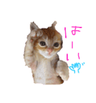 テヤンくん①（個別スタンプ：5）