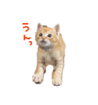テヤンくん①（個別スタンプ：6）