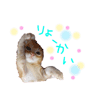 テヤンくん①（個別スタンプ：9）