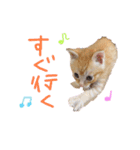 テヤンくん①（個別スタンプ：10）