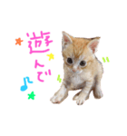 テヤンくん①（個別スタンプ：12）