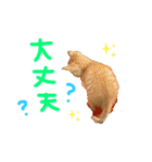 テヤンくん①（個別スタンプ：14）