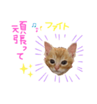 テヤンくん①（個別スタンプ：15）