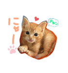 テヤンくん①（個別スタンプ：21）