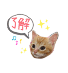 テヤンくん①（個別スタンプ：22）