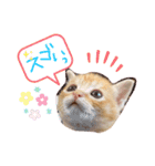 テヤンくん①（個別スタンプ：23）