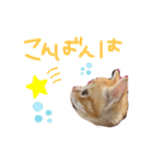 テヤンくん①（個別スタンプ：24）
