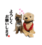 唄 〜仔犬編〜（個別スタンプ：7）