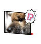 唄 〜仔犬編〜（個別スタンプ：14）