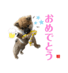 唄 〜仔犬編〜（個別スタンプ：15）