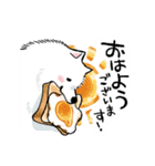 喫茶サモエド（個別スタンプ：1）