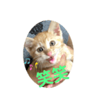 ぺぺちゃん かわいい毎日 その2（個別スタンプ：2）