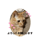 ぺぺちゃん かわいい毎日 その2（個別スタンプ：8）