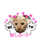 ぺぺちゃん かわいい毎日 その2（個別スタンプ：10）