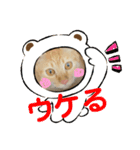 ぺぺちゃん かわいい毎日 その2（個別スタンプ：13）