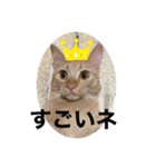 ぺぺちゃん かわいい毎日 その2（個別スタンプ：14）