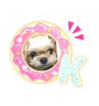 愛犬もなちゃん（個別スタンプ：2）