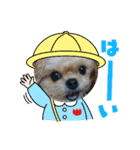 愛犬もなちゃん（個別スタンプ：4）