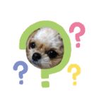 愛犬もなちゃん（個別スタンプ：8）